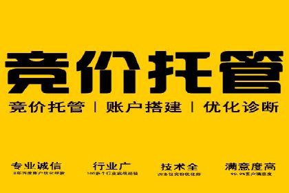 竞价推广策略解析，代运营公司的成功故事分享